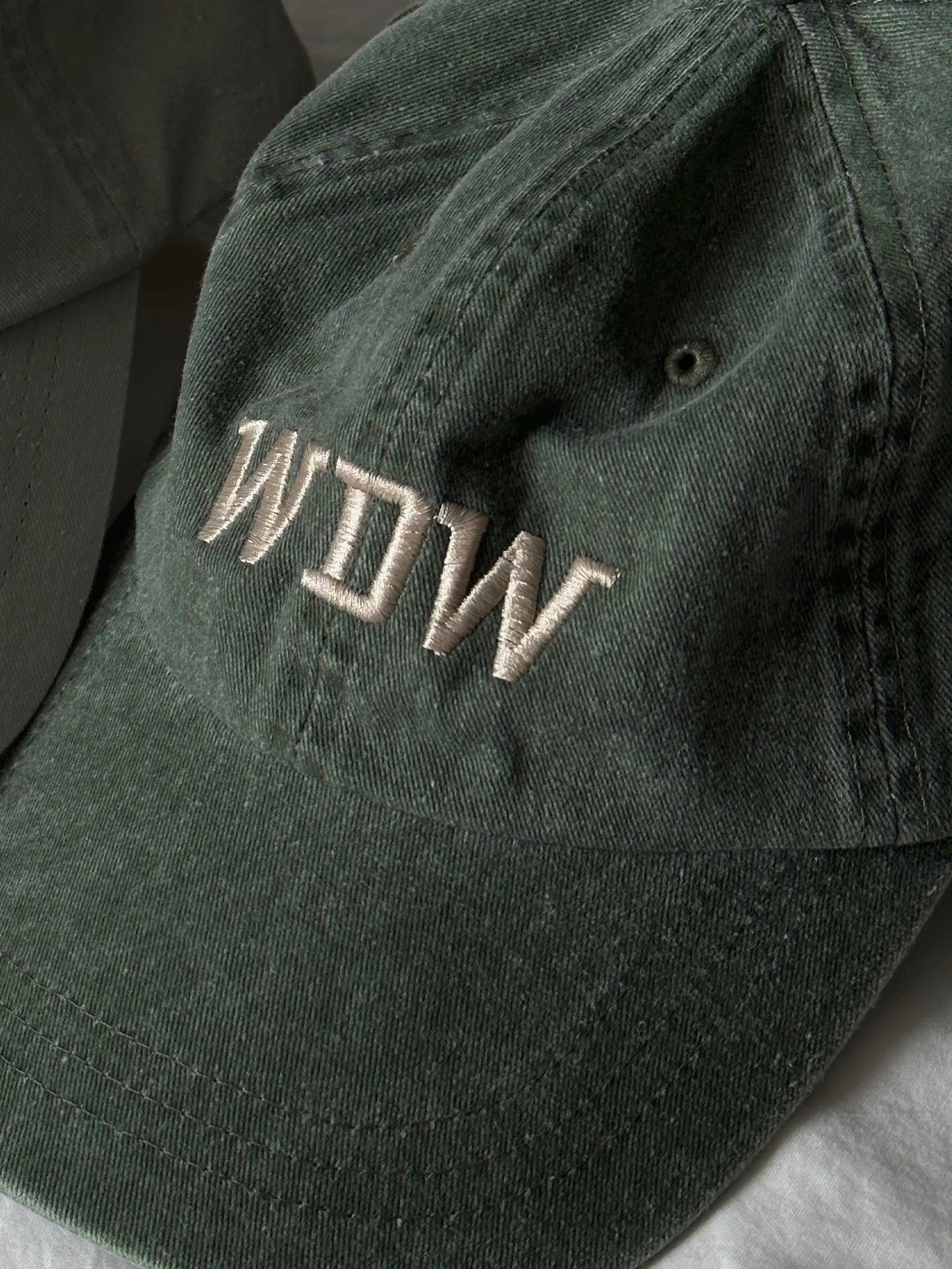 The WDW Hat (2 Colors)