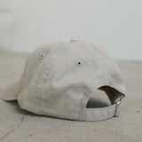 The DLR Baseball Hat