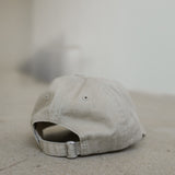 The DLR Baseball Hat