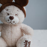 The Park Bear Plushie Bag Charm