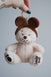 The Park Bear Plushie Bag Charm
